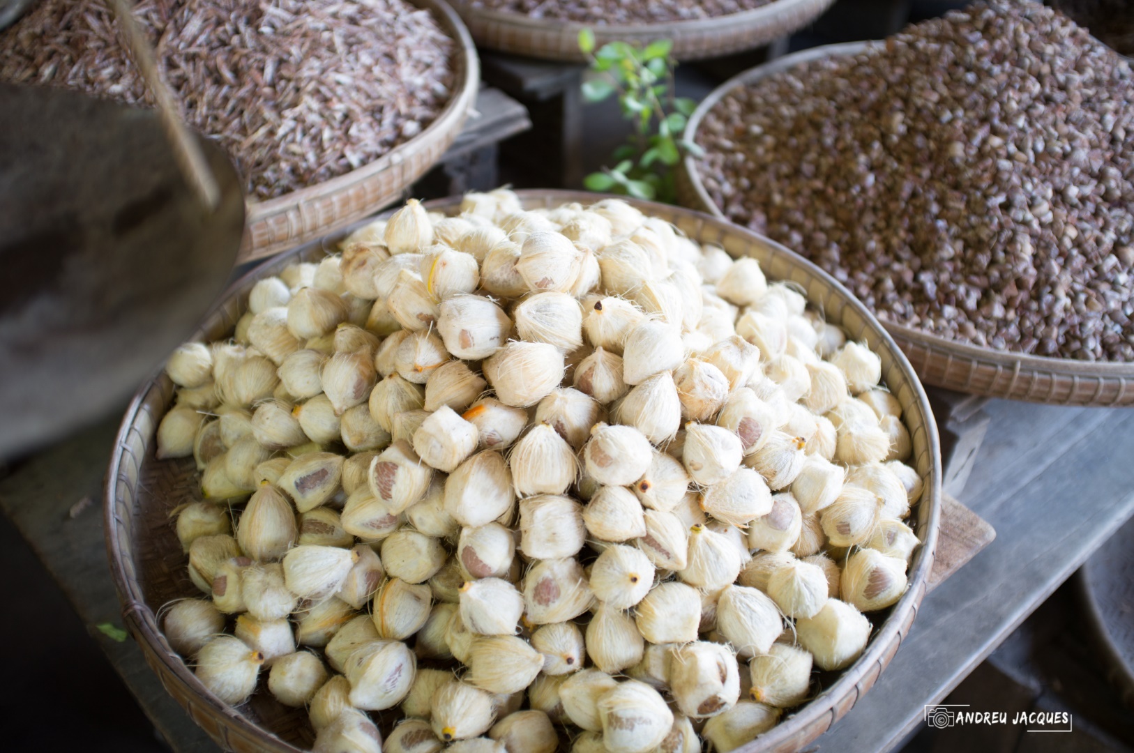 birmanie-141 (Grand).jpg